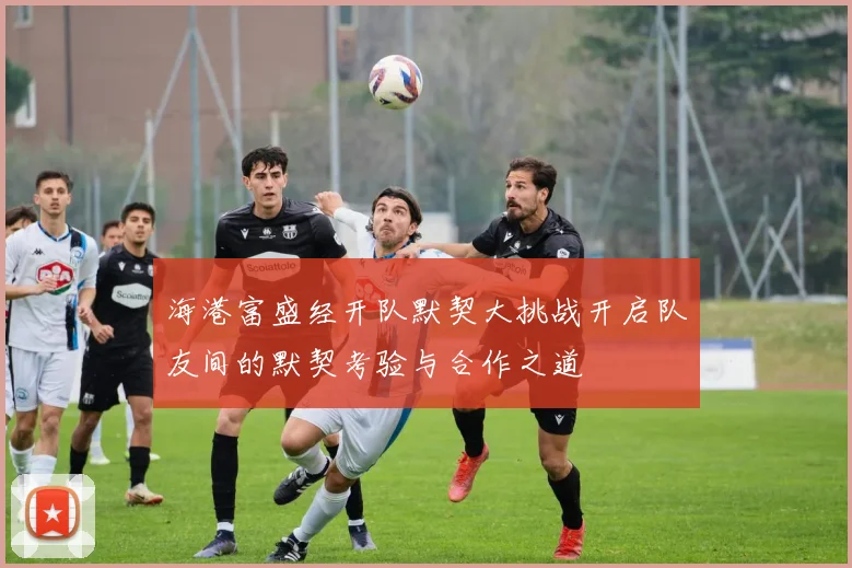 海港富盛经开队默契大挑战开启队友间的默契考验与合作之道